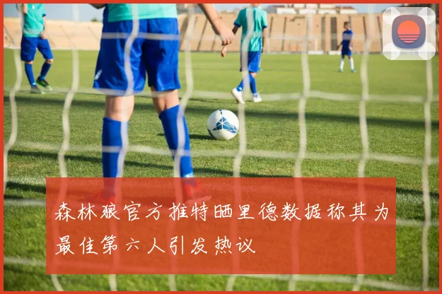森林狼官方推特晒里德数据称其为最佳第六人引发热议