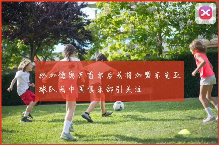 林加德离开首尔后或将加盟东南亚球队或中国俱乐部引关注